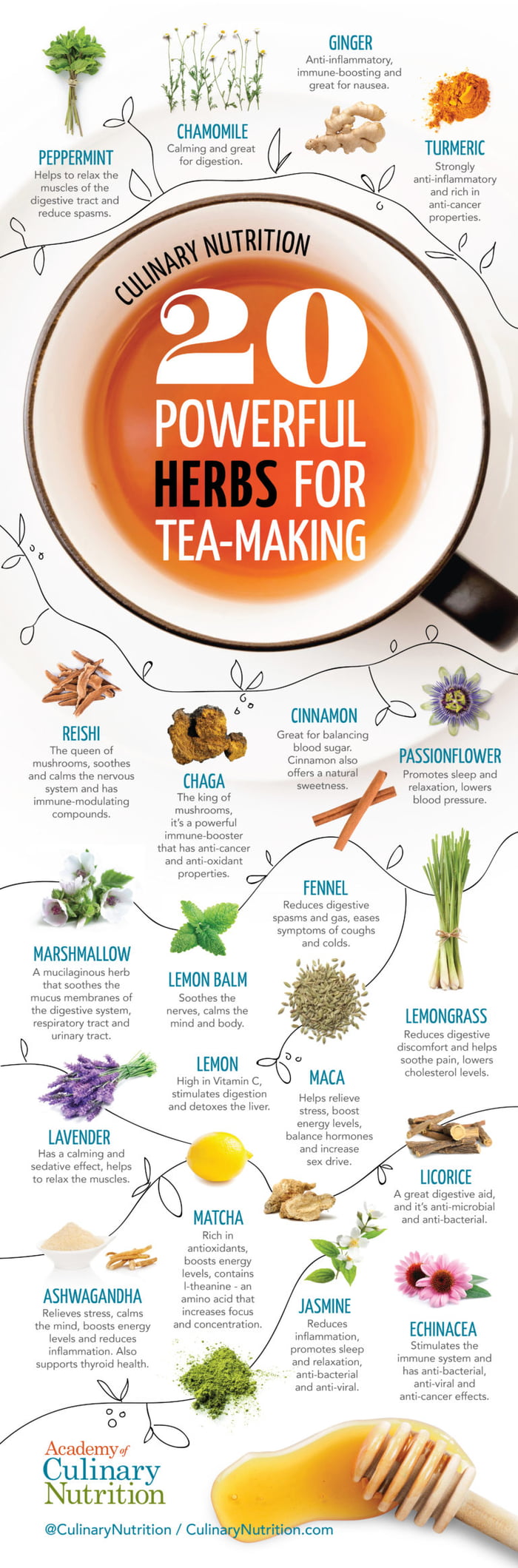 20 Powerful Herbs For Tea Making - 9GAG