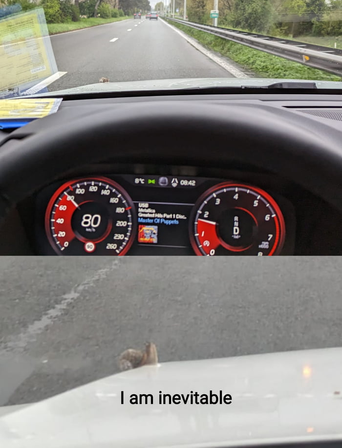 me-hell-yeah-i-ll-take-the-money-i-m-not-afraid-what-s-the-worst