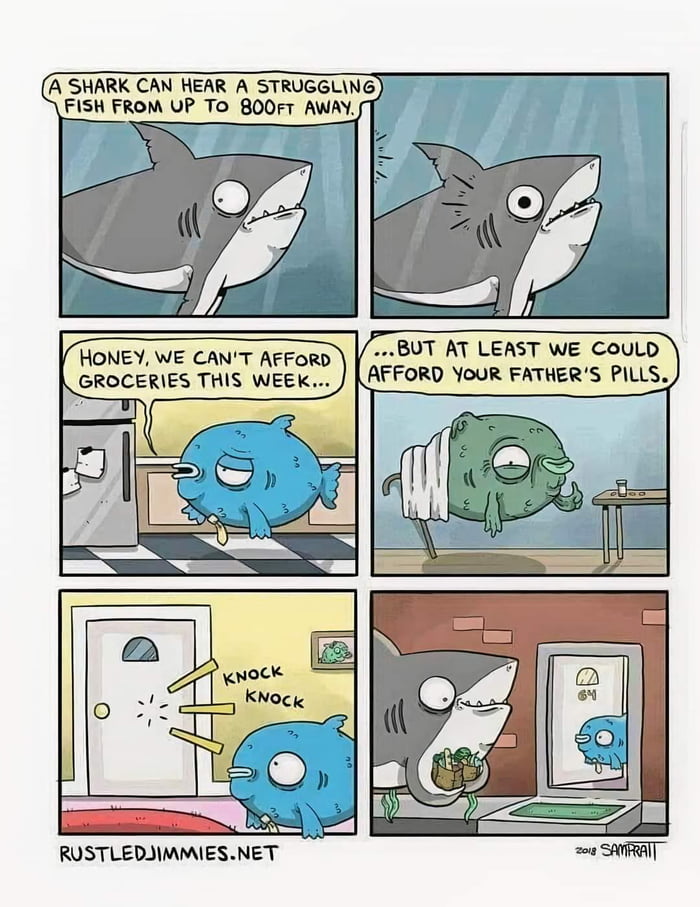 A shark to the rescue 🦈 - 9GAG