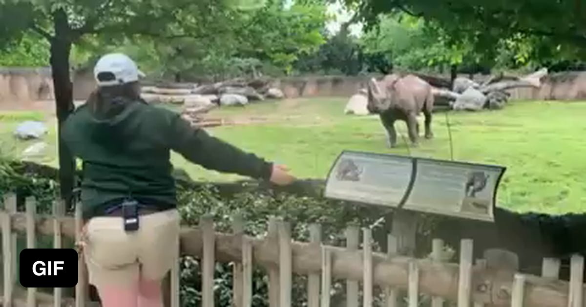 Rhino is happy to see his caretaker. - 9GAG