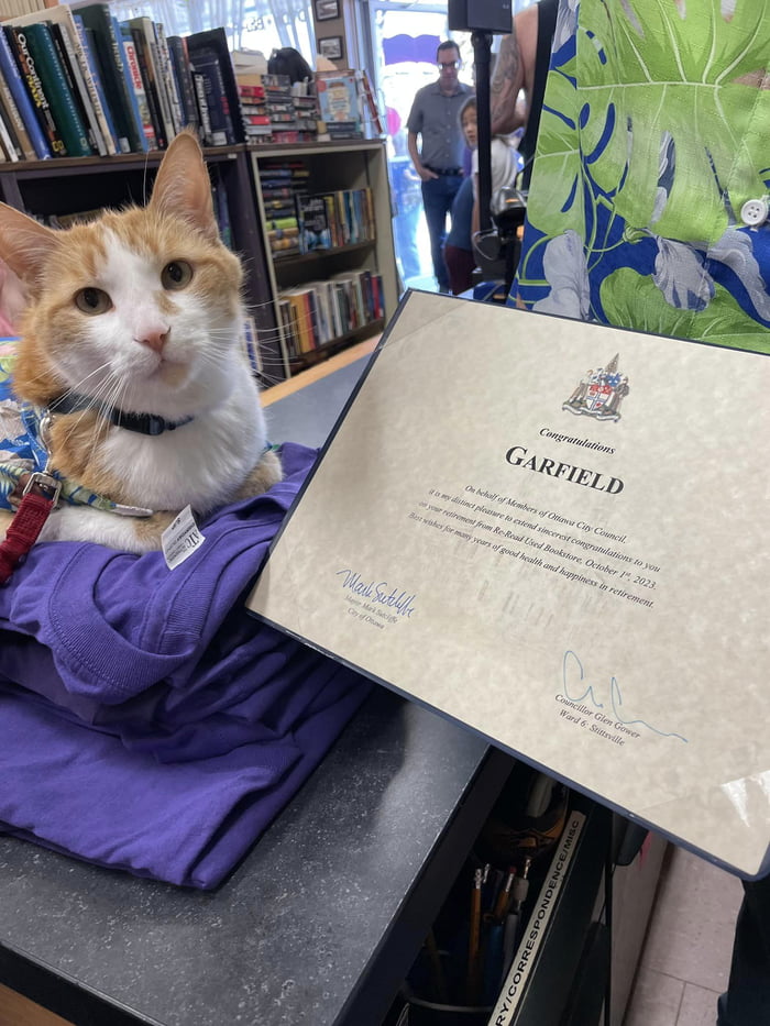 Wishing a happy retirement to Garfield the bookstore cat at ReRead