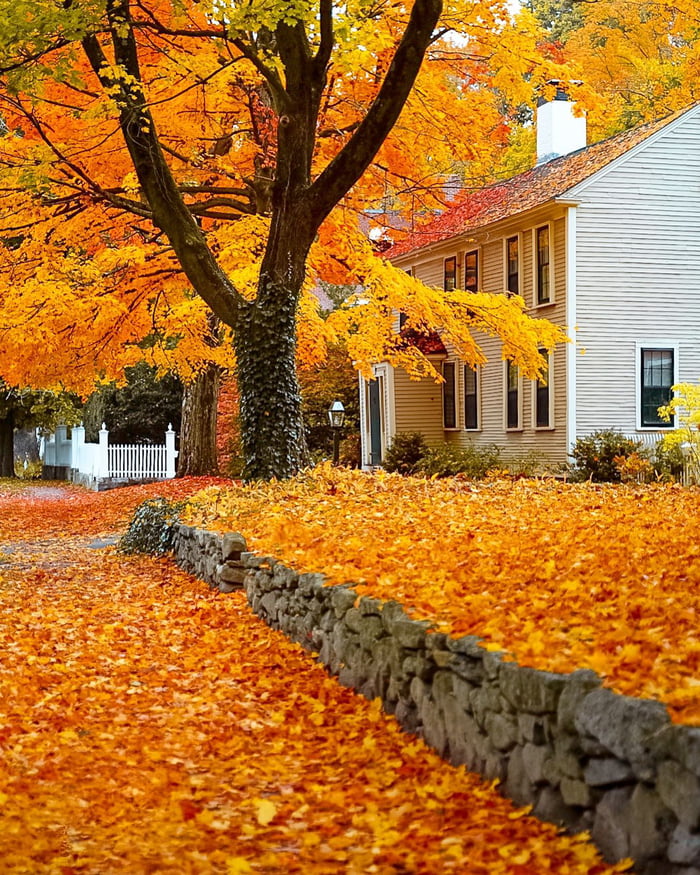 Autumn in the historic town of Concord, Massachusetts. 9GAG