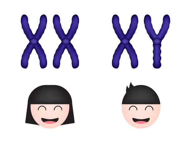 Tell them: I identify as XY allosomed (or XX but there aren #39 t any Tell them: I identify as XY allosomed (or XX but there aren #39 t any