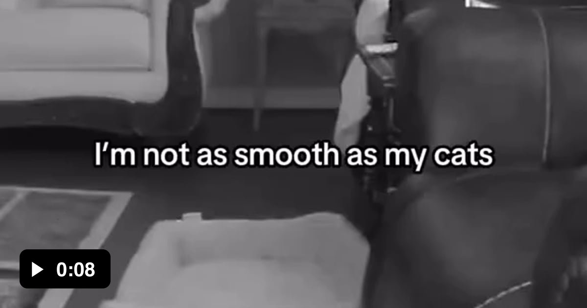 Cat 1, cat 2, cat...oh nevermind 9GAG