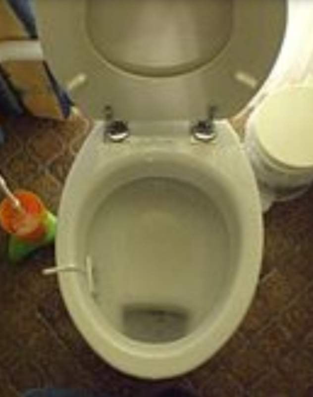 The inventor of this toilet is a criminal and the people who buy it are ...