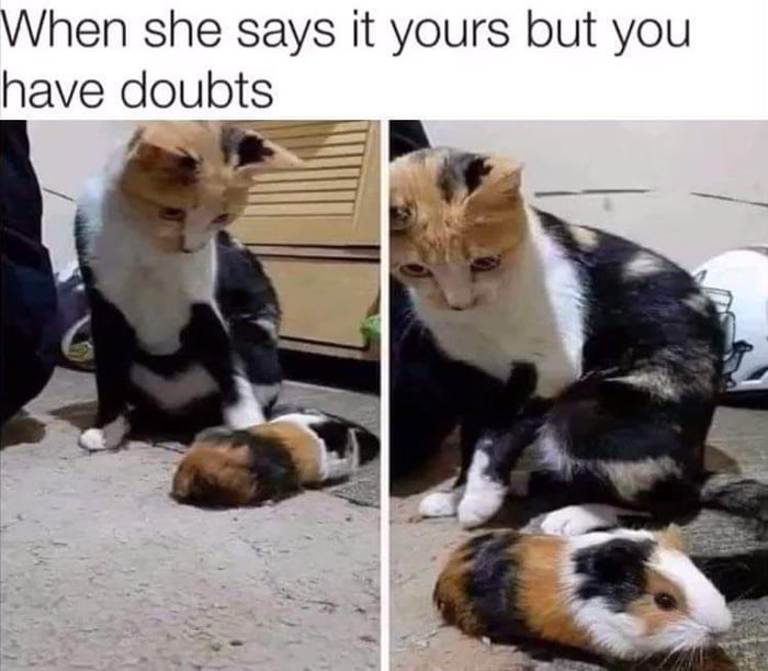 When You Have The Same Mom But Different Daddys 9GAG when-you-have-the-same-mom-but-different-daddys-9gag