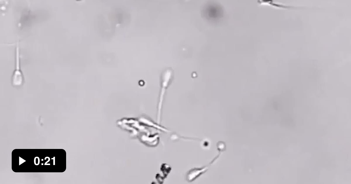 A nanorobot helping a sperm cell reach the egg. - 9GAG