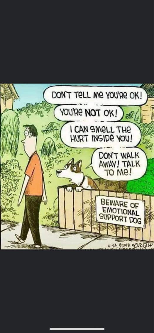 Thought this was too cute not to share - 9GAG