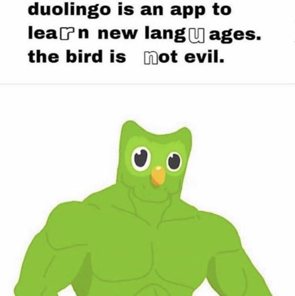 Duolingo Memes Need More Recognition 9gag