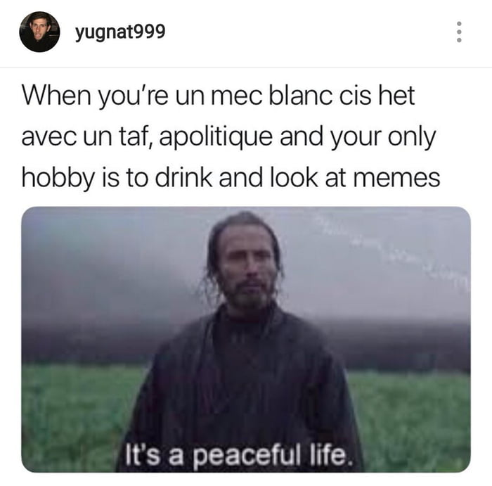 It's a peaceful life - 9GAG