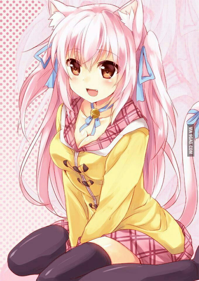 The Cutest Neko Girl I Have Ever Seen Gag