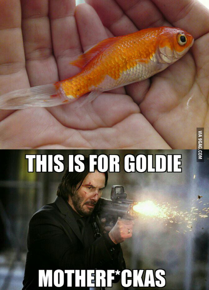John Wick 2 Plot Just Leaked 9GAG