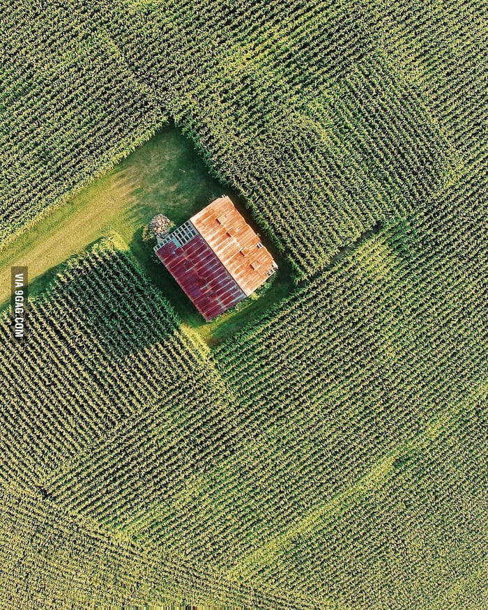 This image is so satisfying - 9GAG