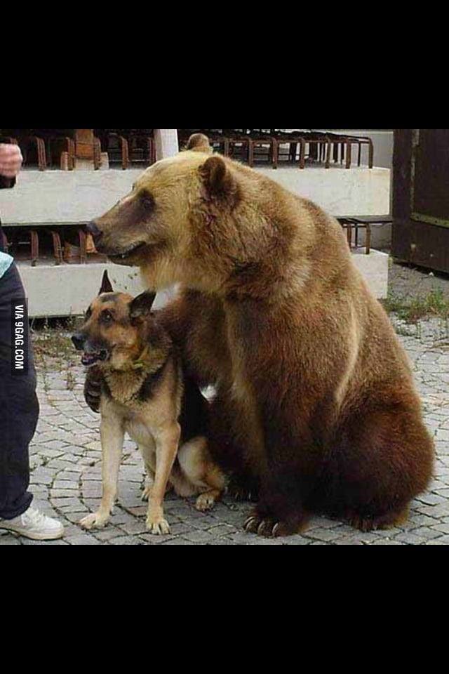 What Is The Binary Code In Please Don T Touch Anything Roblox