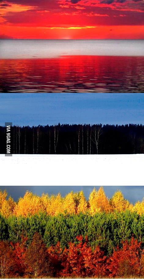 skæg musikkens Ansøgning Can mother nature draw your flag? Latvia, Estonia and Lithuania - The  Baltic States - 9GAG