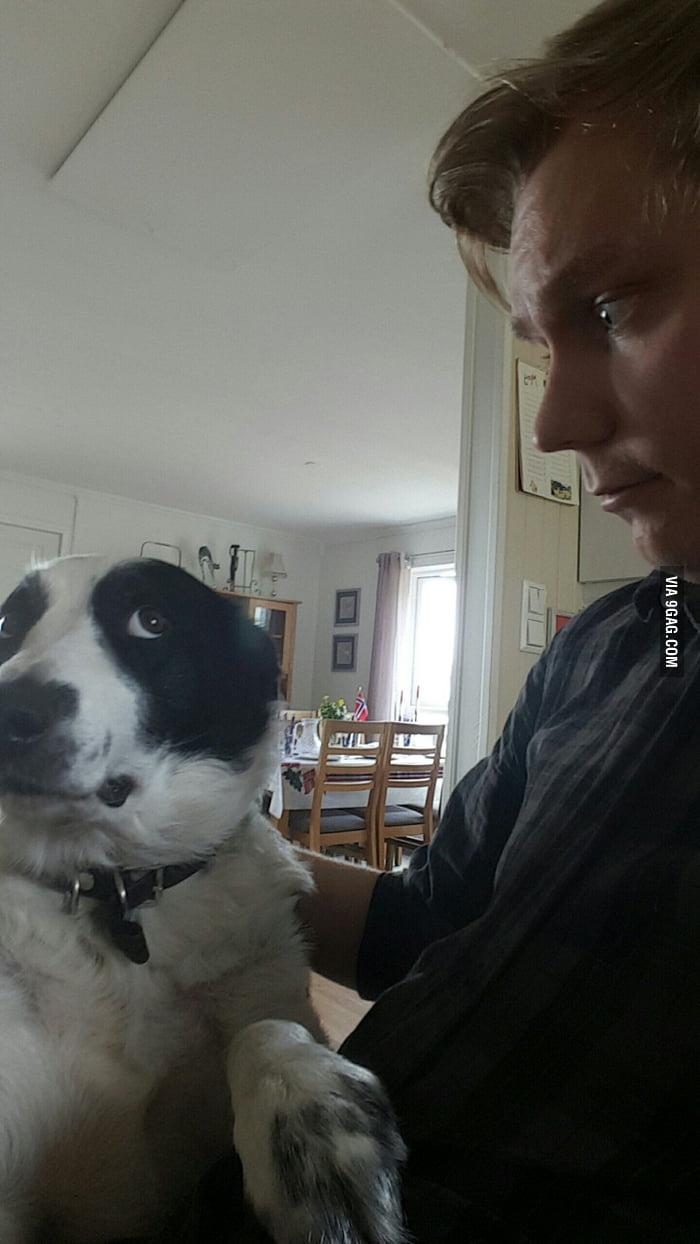 My dog looks at me like this everytime I try to stroke him! 9GAG