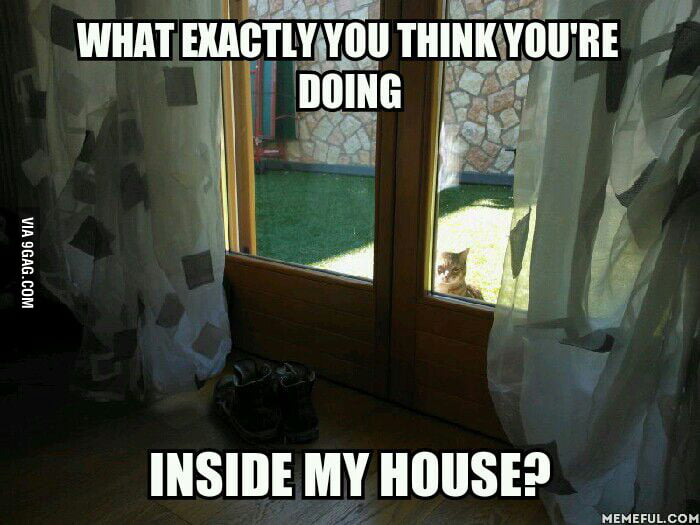 My cat guarding the house from outside - 9GAG