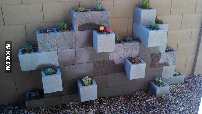 Cacti Garden Complete. - 9GAG