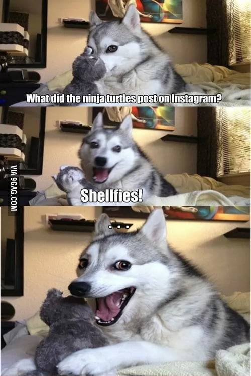 Wolf jokes - 9GAG