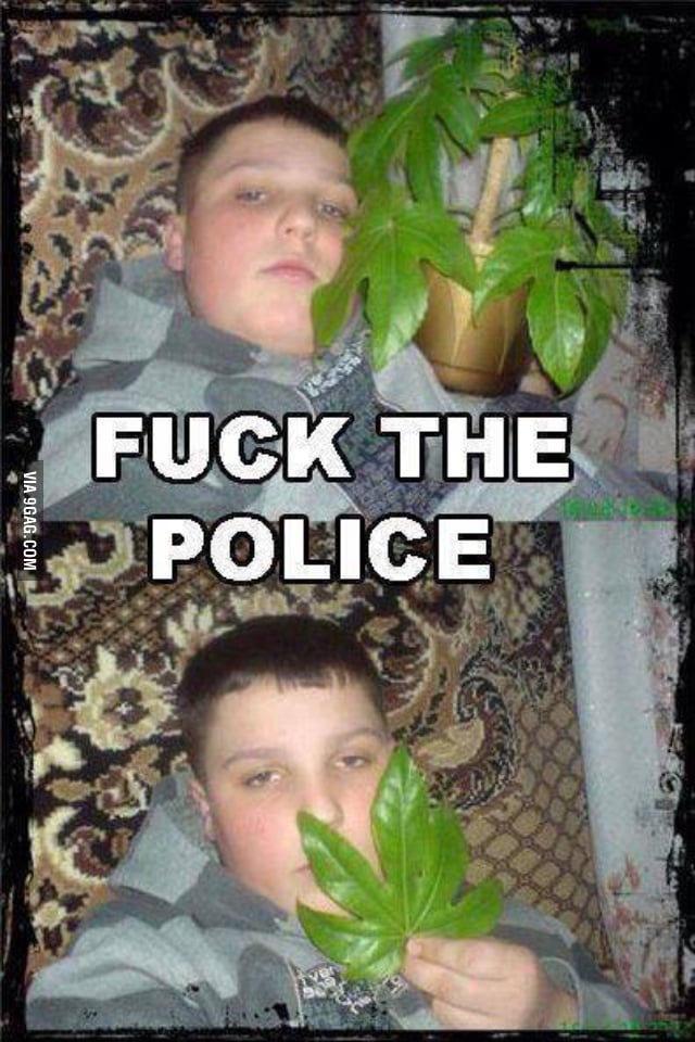 1-pothead-in-the-world-9gag