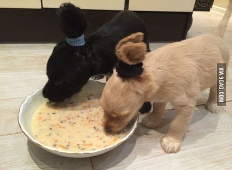 When You Gotta Tie Your Hair Up So It Doesnt Go In Your Food 9gag