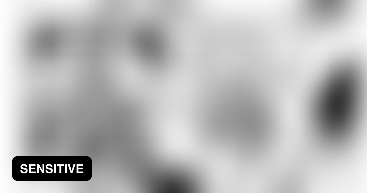 The Birthday Gift Bgm