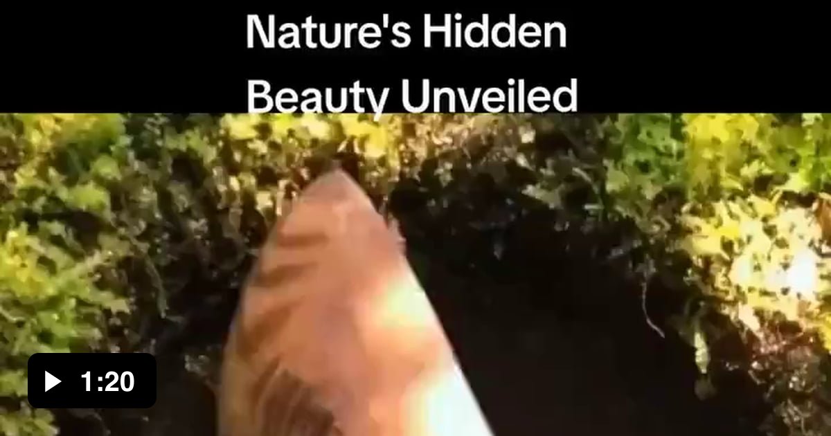 nature-9gag