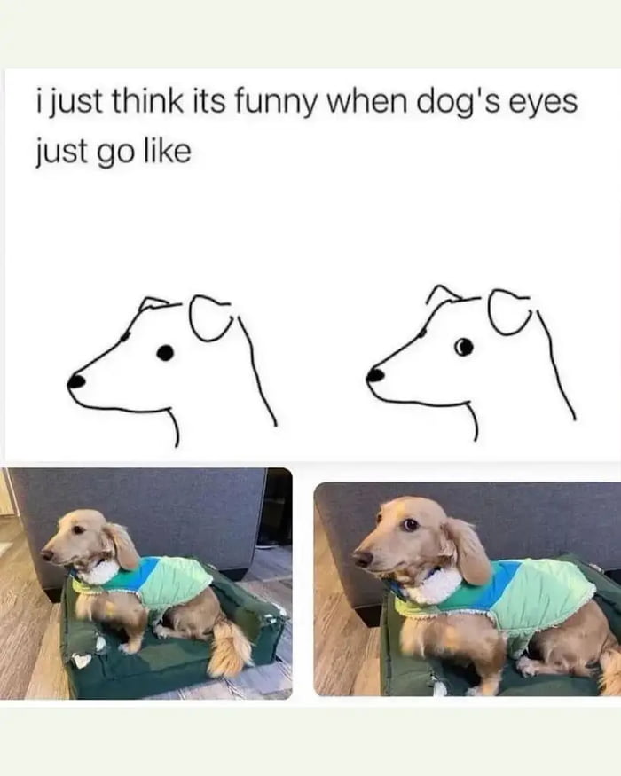 Good boy turned into old school meme - 9GAG