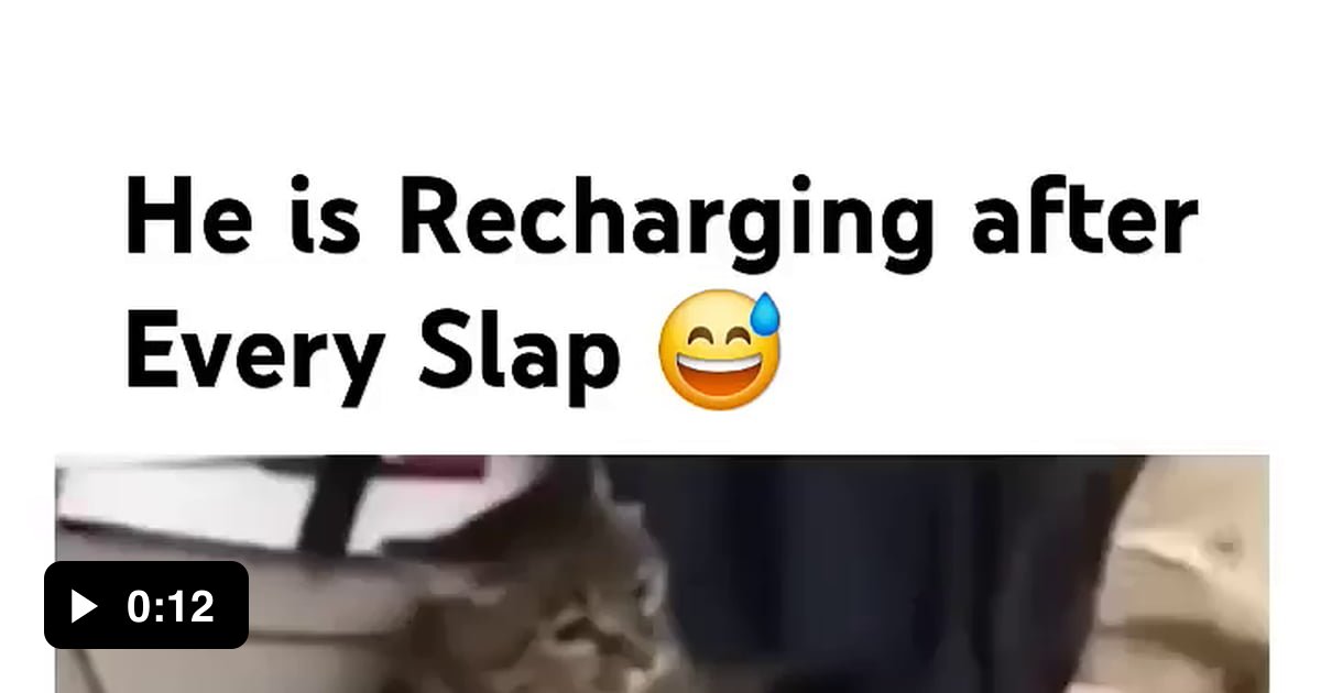 Electric cat - 9GAG