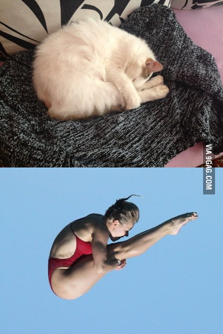 Dat cat gone sky high - 9GAG
