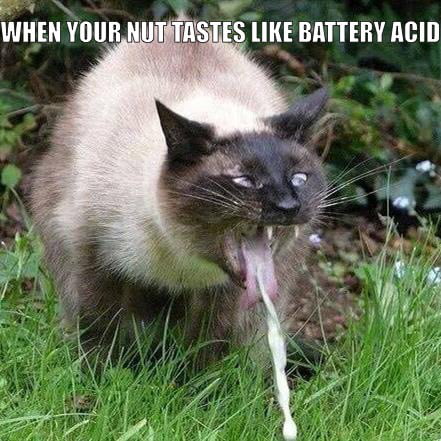 When Your Nut Tastes Like Battery Acid 9gag