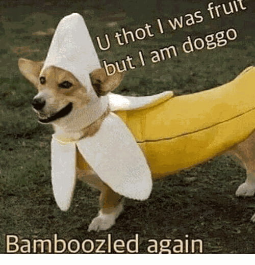 Bamboozled yet again 9GAG