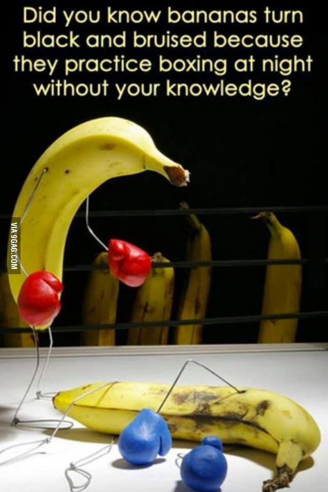 DId you know? #8fact #bananas - 9GAG