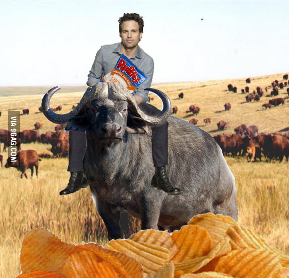 Mark Ruffalo eating ruffles on a buffalo. Best thing I've seen today ...