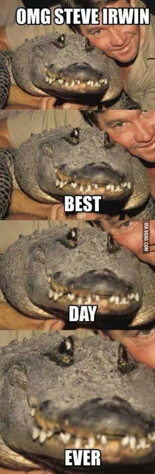 Steve Rest Off Rest in Peace Steve - 9GAG