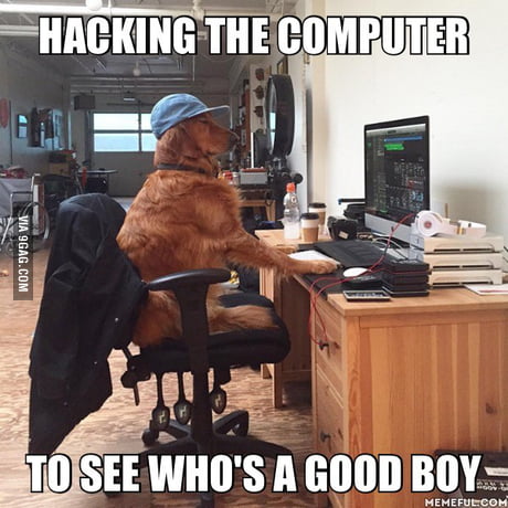 Hacker Dog 9gag