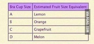 Bra Compared To Fruit Size Chart Google Search Funny.