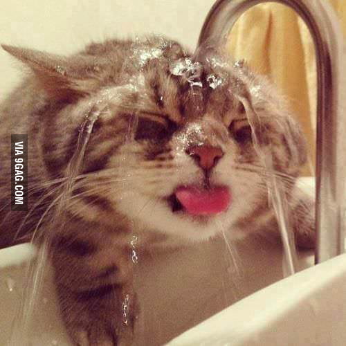 Thats A Cute Wet Pussy 9gag 4975