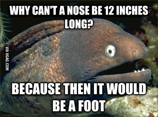 Bad Joke Eel Why Can t A Nose Be 12 Inches Long 9GAG Bad Joke Eel Why Can t A Nose Be 12 Inches Long 9GAG