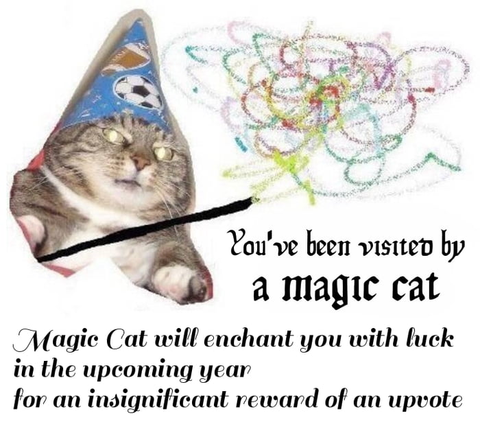 Magic Cat is making sure that your 2017 is going to be better. - 9GAG