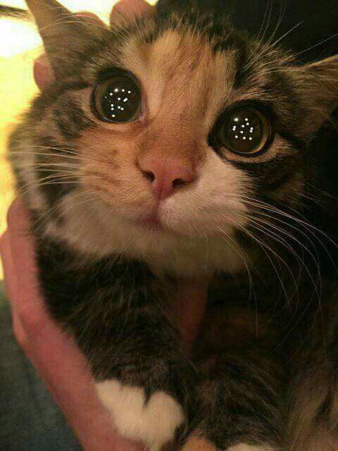When You See Your Crush 9GAG