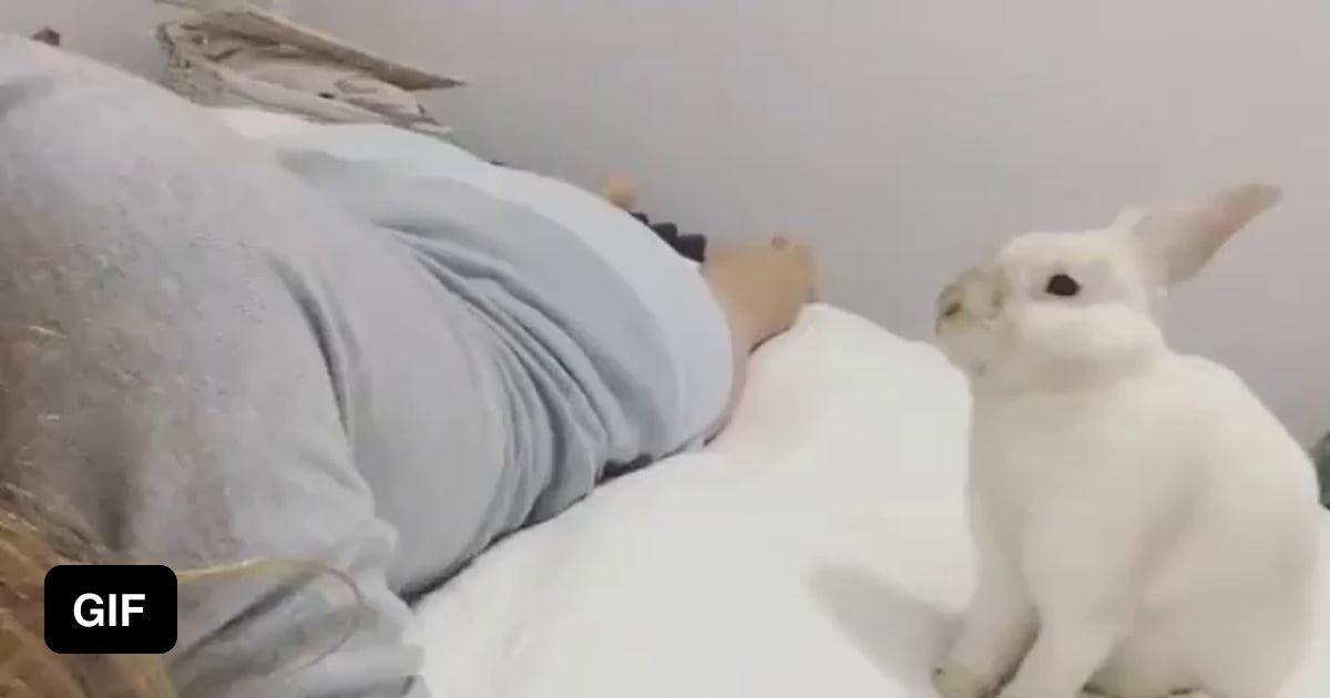 Humping Body Pillow