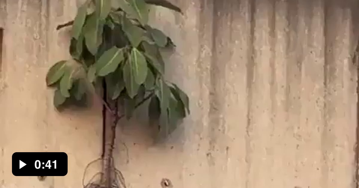 Never.give.up