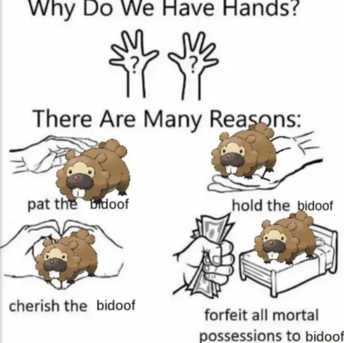 Bidoof - 9GAG