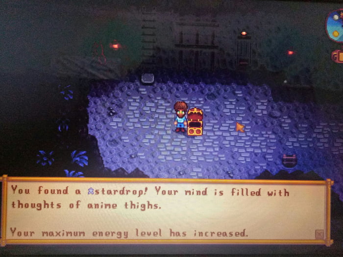 So I Started Playing Stardew Valley 9gag