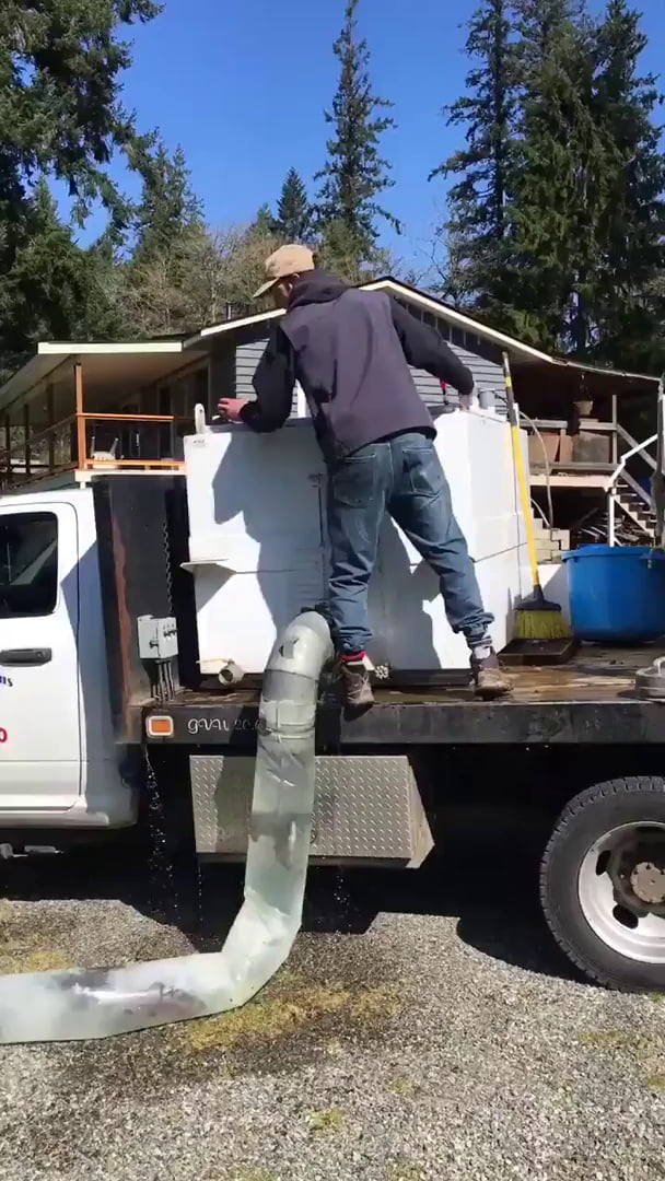 Restocking trout into a lake via pipeline