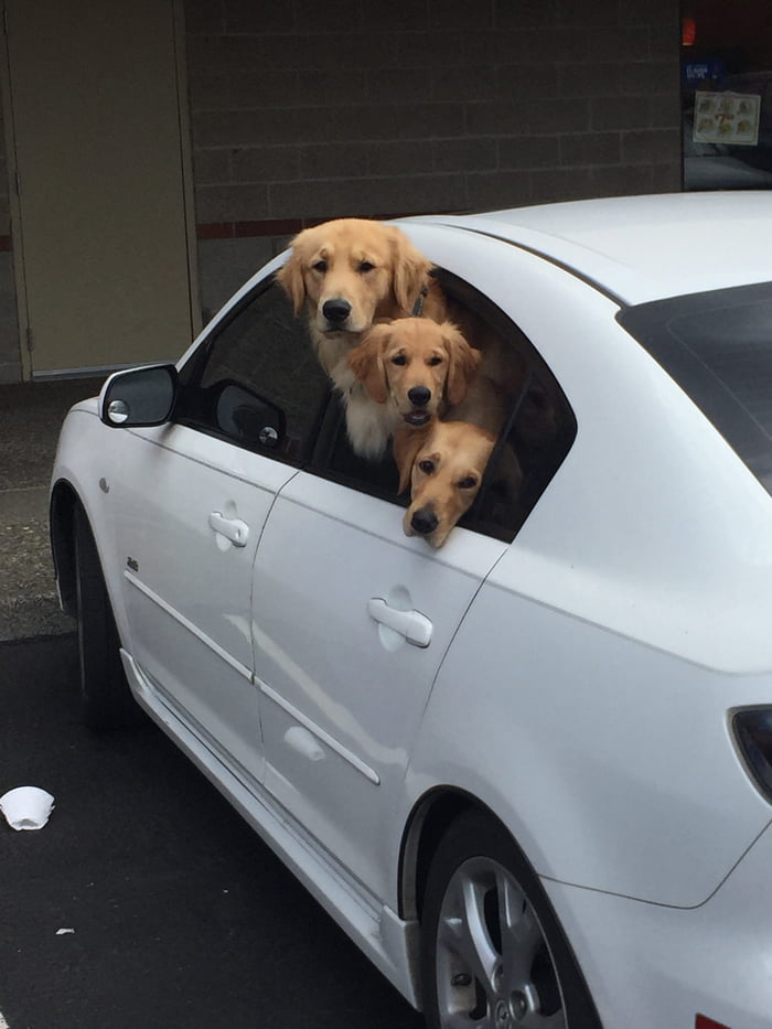 Three friendos in a car 9gag