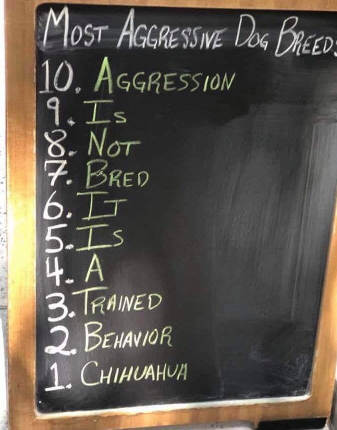 top ten aggressive dog breeds