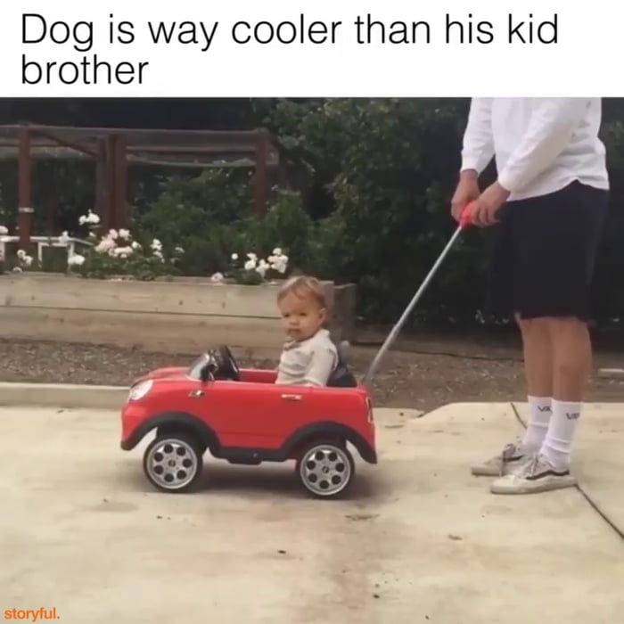 They see me rollin' - 9GAG