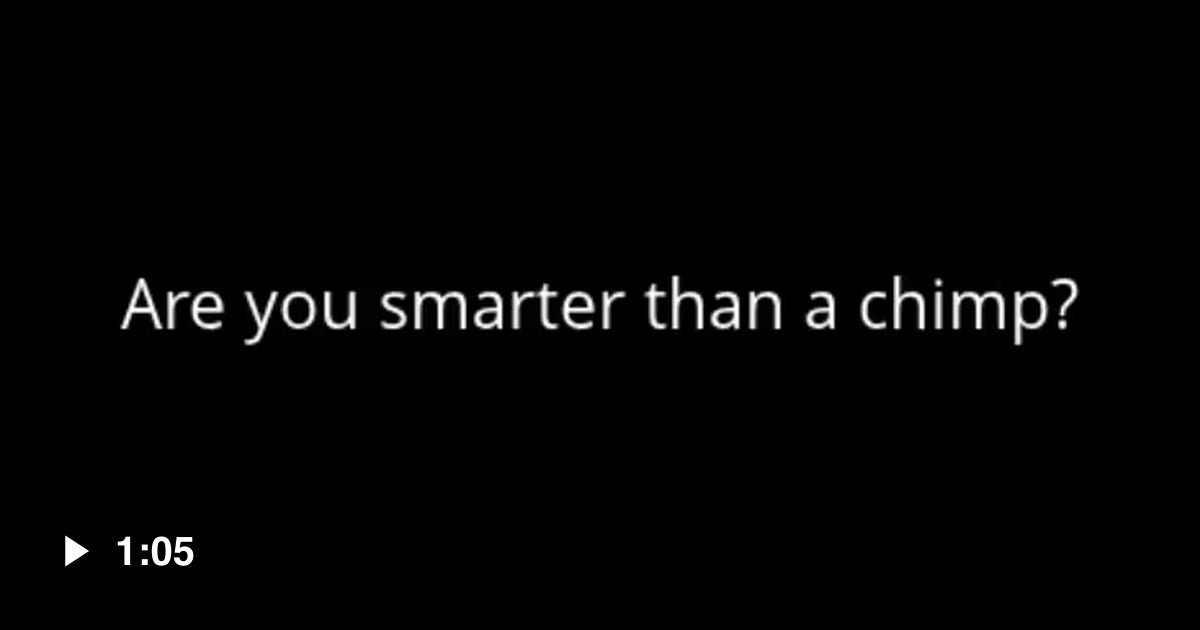 Fun fact: chimps got a better short term memory than most humans - 9GAG